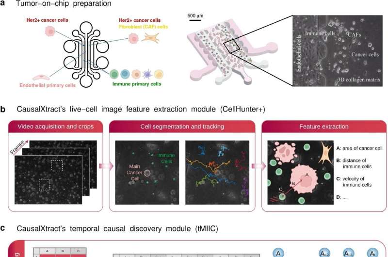 Computatio<em></em>nal tool can pinpoint causal relatio<em></em>nships from complex biological data