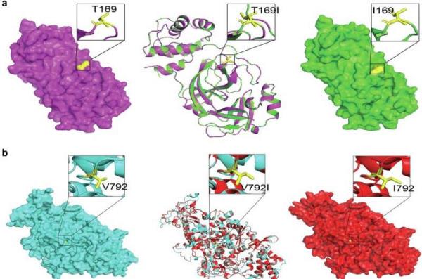 Antiviral-resistant variants of SARS-CoV-2 can emerge in immunocompromised people